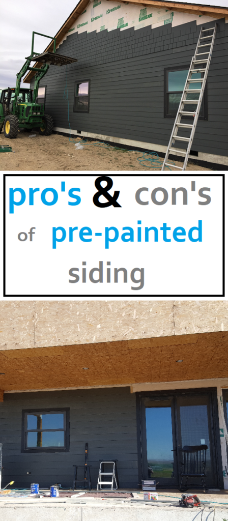 pro's and cons of pre painted siding. money, cleaning, finished, build your own house