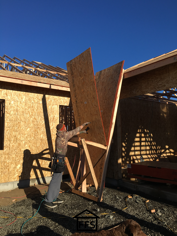 plywood sheeting your roof. How to build your own house. DIY save money. 
